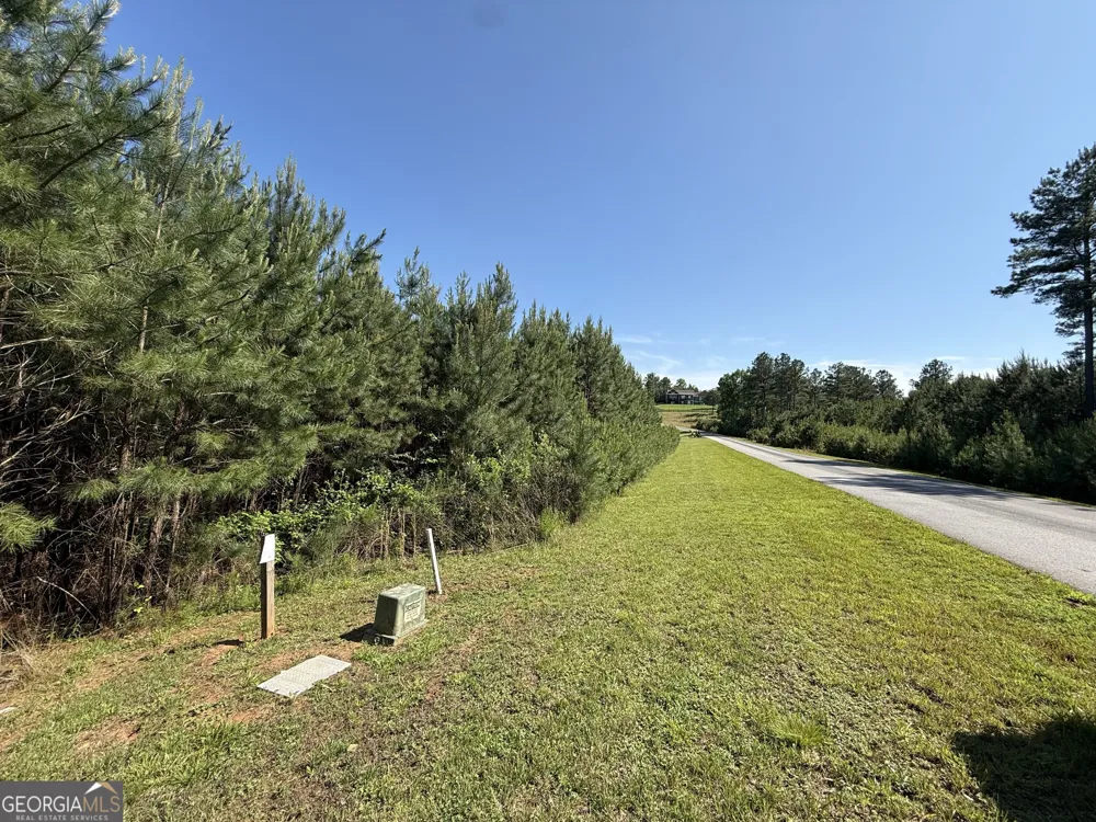 LOT 228 The Cove at Thirteen Hundred Blairsville, GA 30512