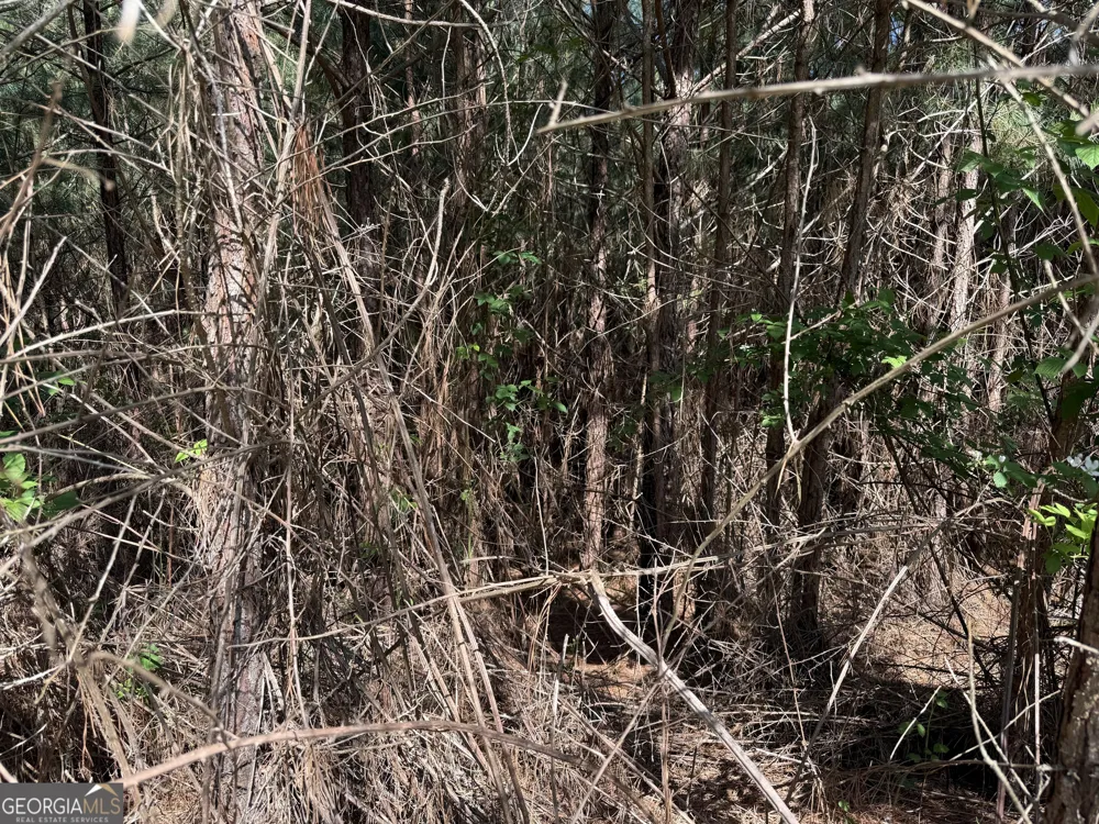 LOT 228 The Cove at Thirteen Hundred Blairsville, GA 30512