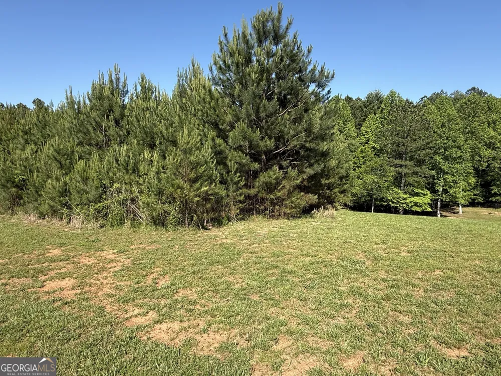 LOT 228 The Cove at Thirteen Hundred Blairsville, GA 30512