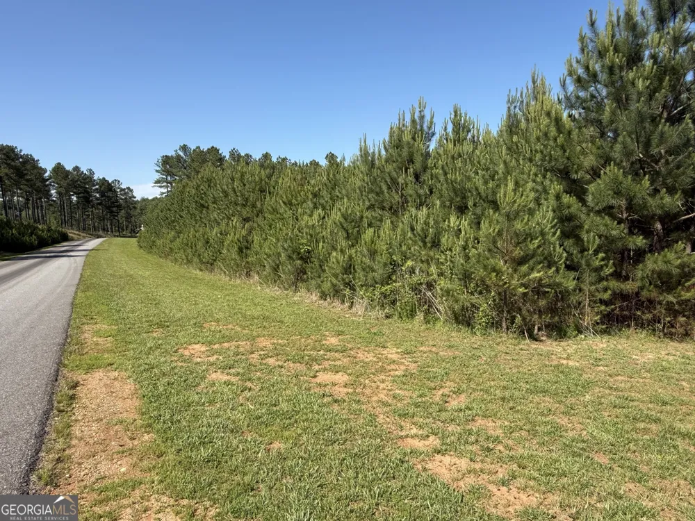 LOT 228 The Cove at Thirteen Hundred Blairsville, GA 30512