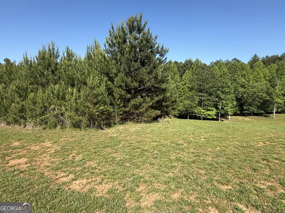 LOT 228 The Cove at Thirteen Hundred Blairsville, GA 30512