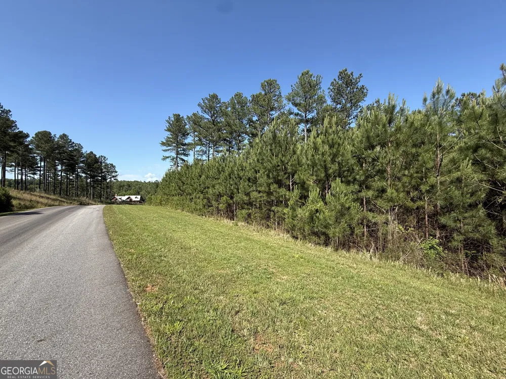 LOT 228 The Cove at Thirteen Hundred Blairsville, GA 30512