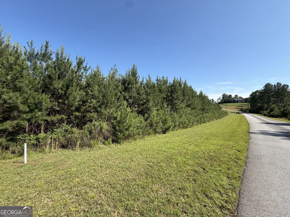 LOT 228 The Cove at Thirteen Hundred Blairsville, GA 30512