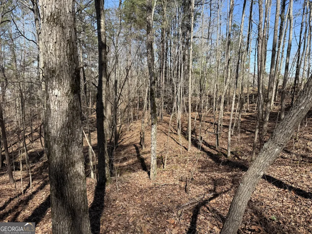 0 Muffit DR Wedowee, AL 36278