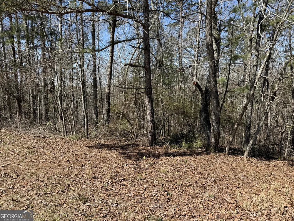 0 Muffit DR Wedowee, AL 36278