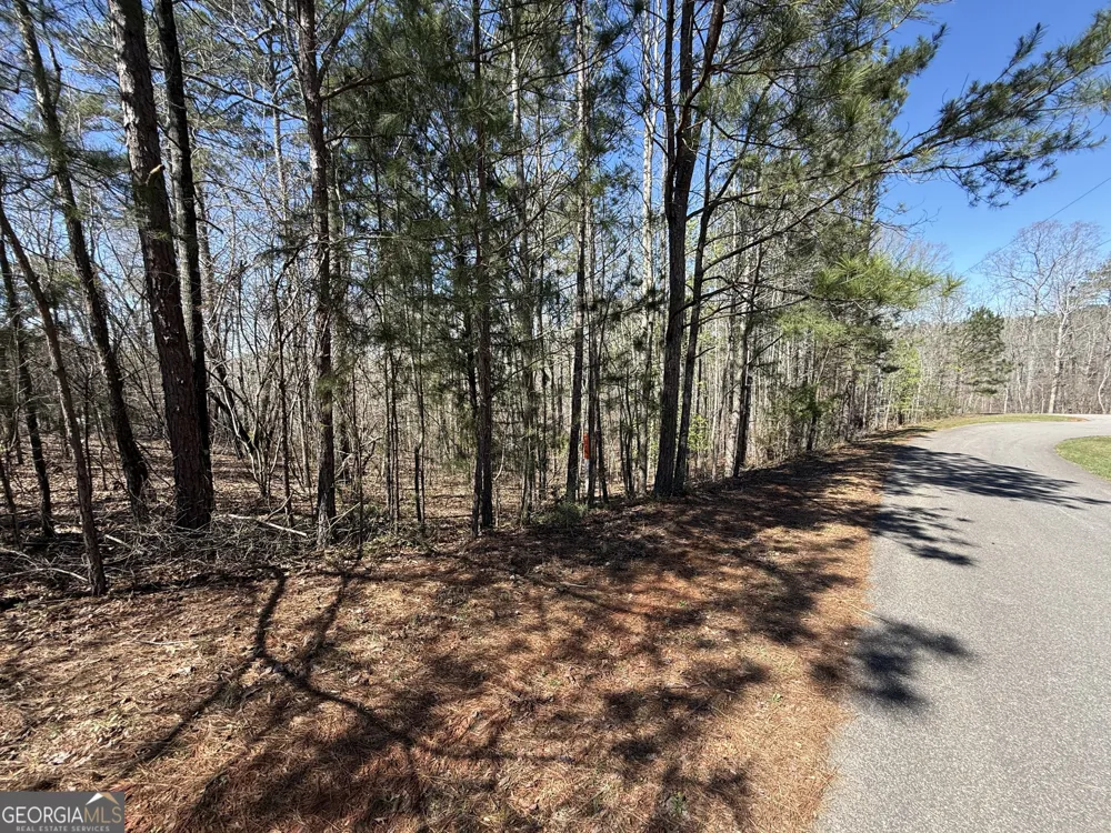 0 Muffit DR Wedowee, AL 36278