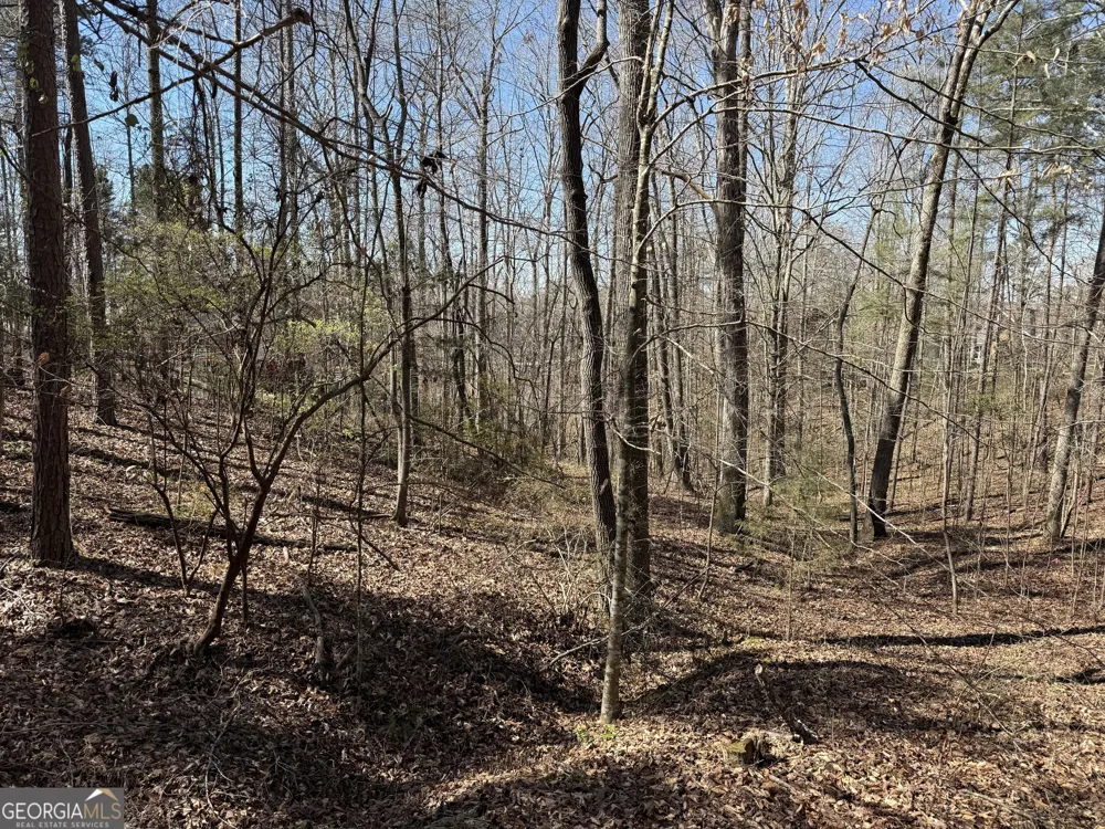 0 Muffit DR Wedowee, AL 36278
