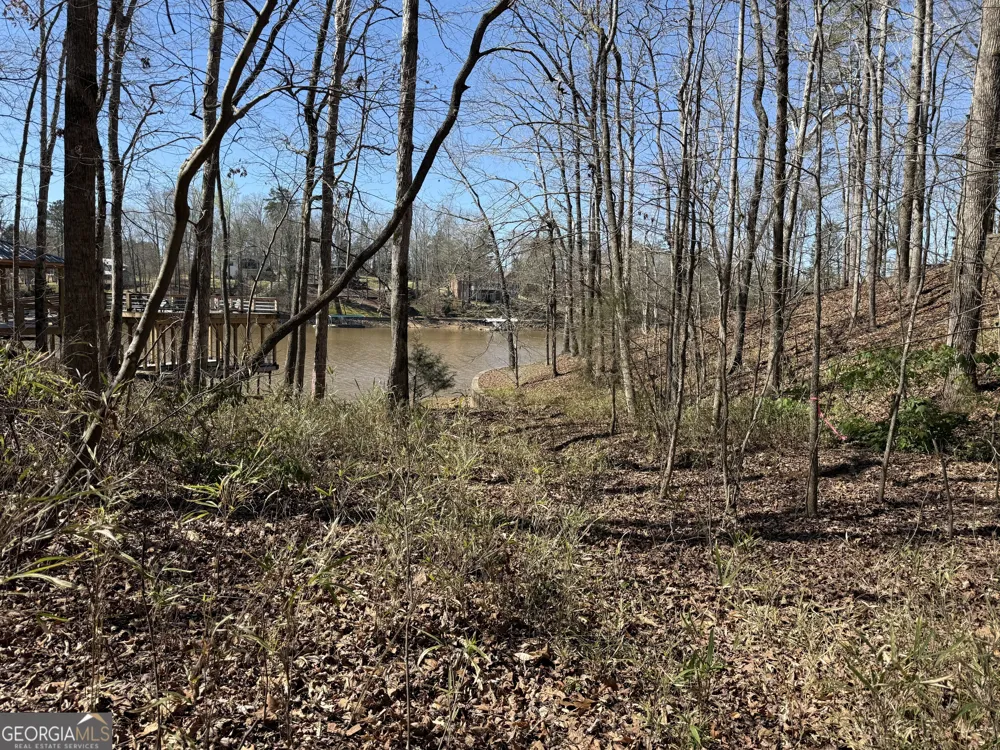 0 Muffit DR Wedowee, AL 36278