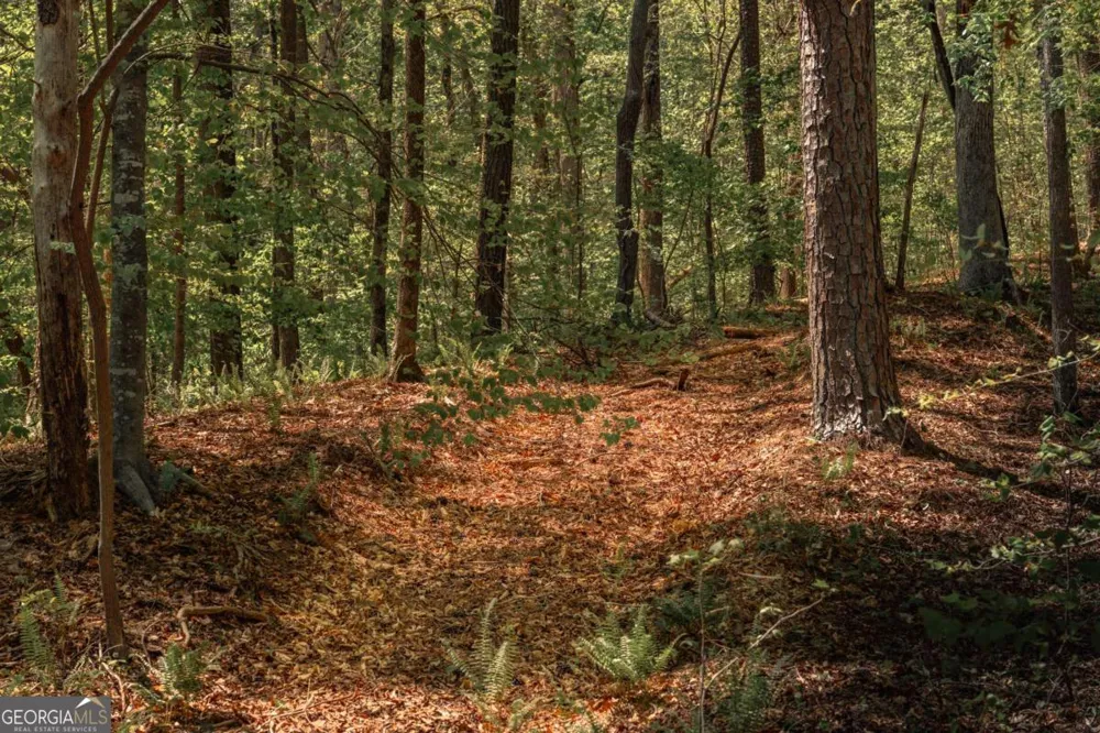 0 Hancock Mountain TRL Waleska, GA 30183