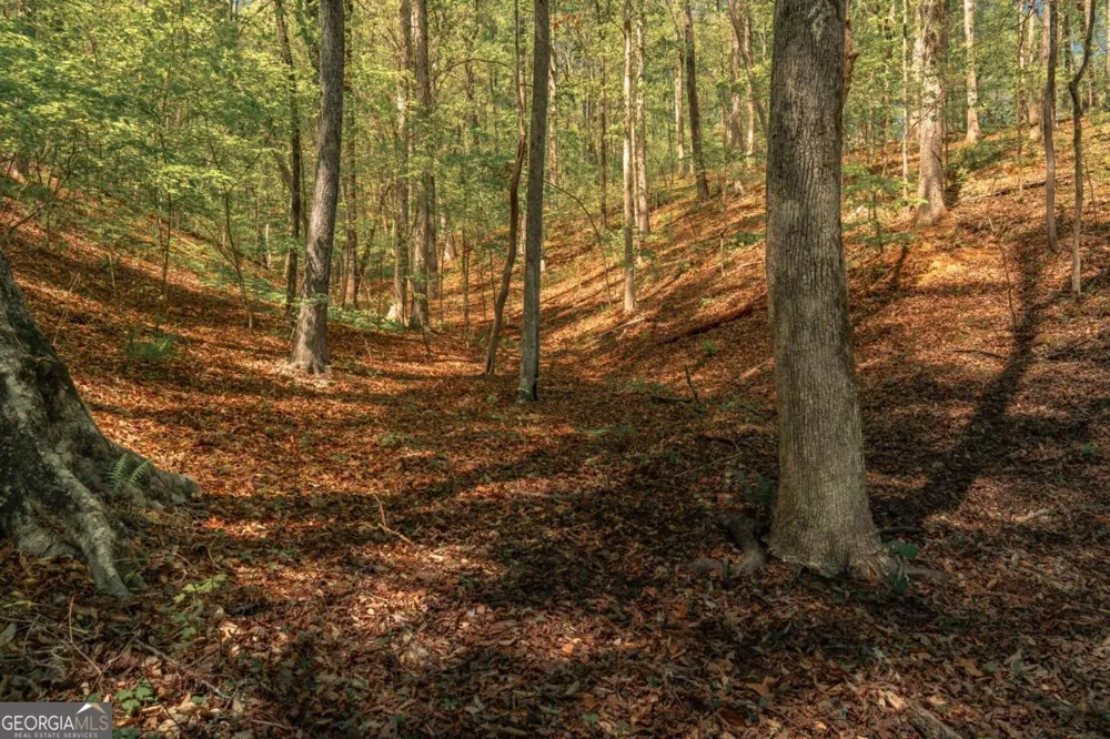 0 Hancock Mountain TRL Waleska, GA 30183
