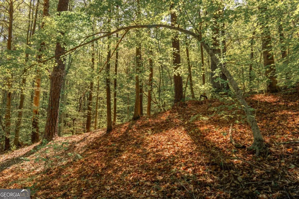 0 Hancock Mountain TRL Waleska, GA 30183