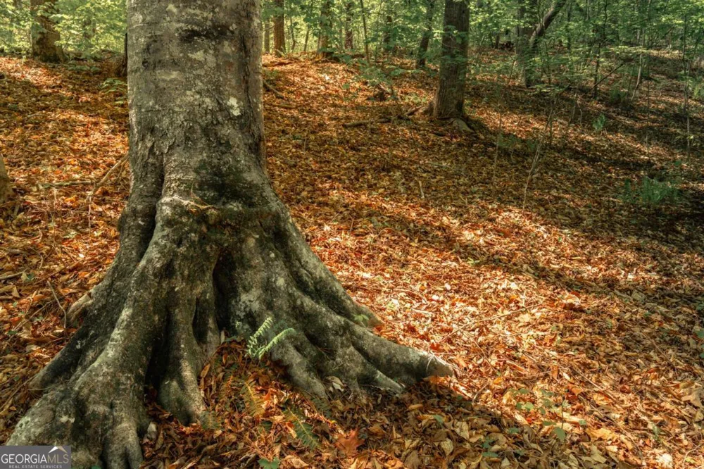 0 Hancock Mountain TRL Waleska, GA 30183
