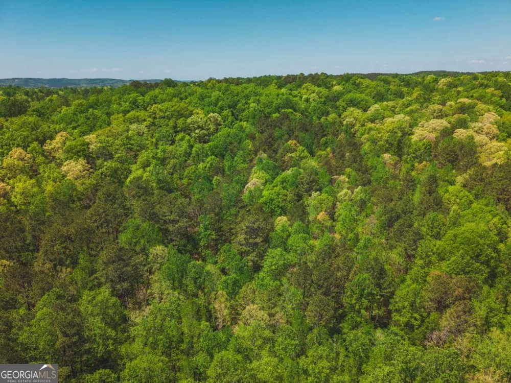 0 Hancock Mountain TRL Waleska, GA 30183