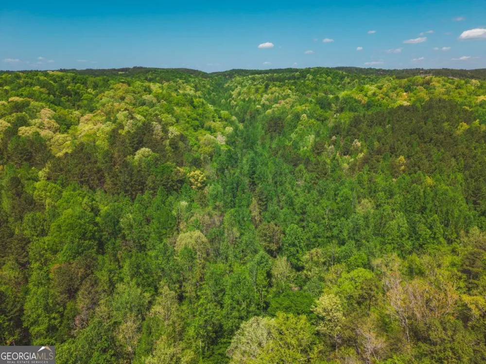 0 Hancock Mountain TRL Waleska, GA 30183