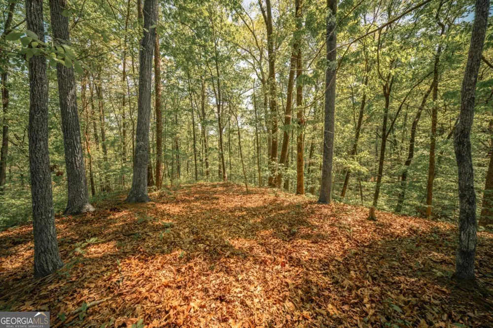 0 Hancock Mountain TRL Waleska, GA 30183
