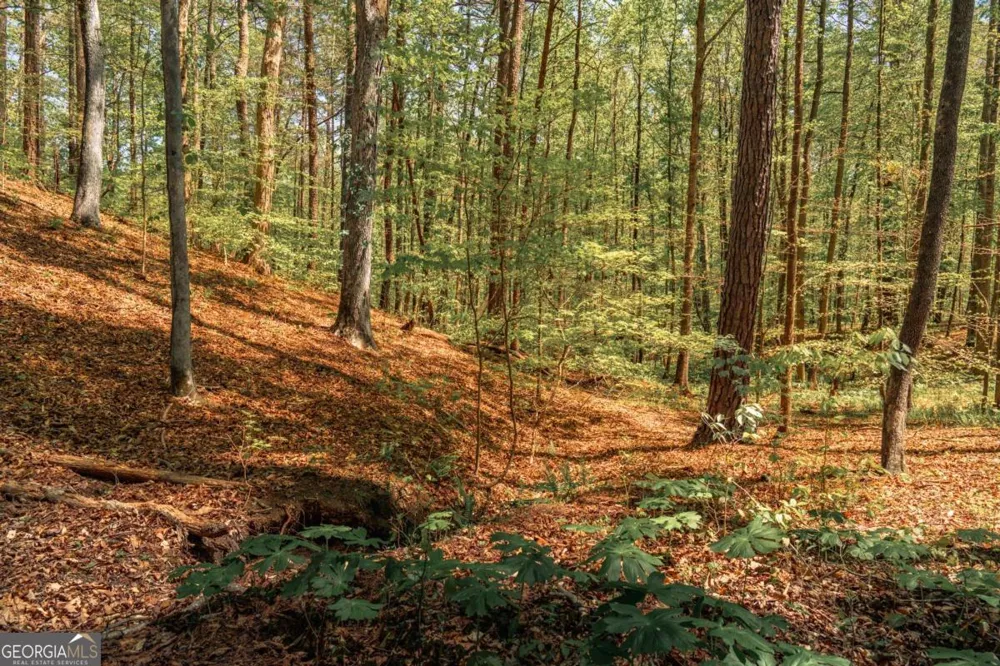 0 Hancock Mountain TRL Waleska, GA 30183