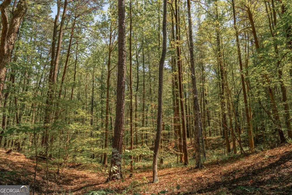 0 Hancock Mountain TRL Waleska, GA 30183