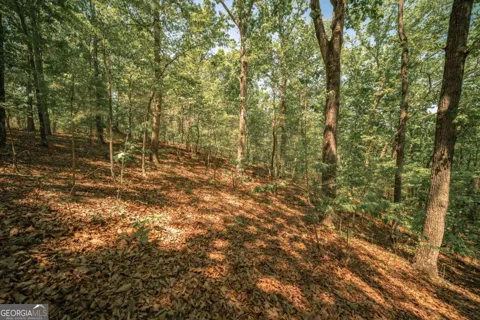 0 Hancock Mountain TRL