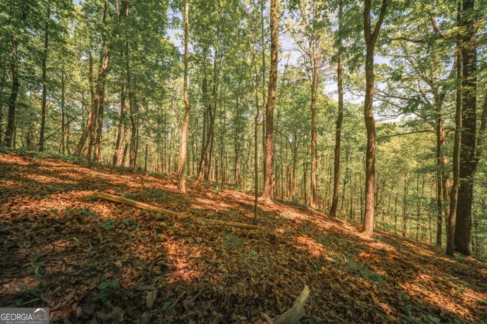 0 Hancock Mountain TRL Waleska, GA 30183