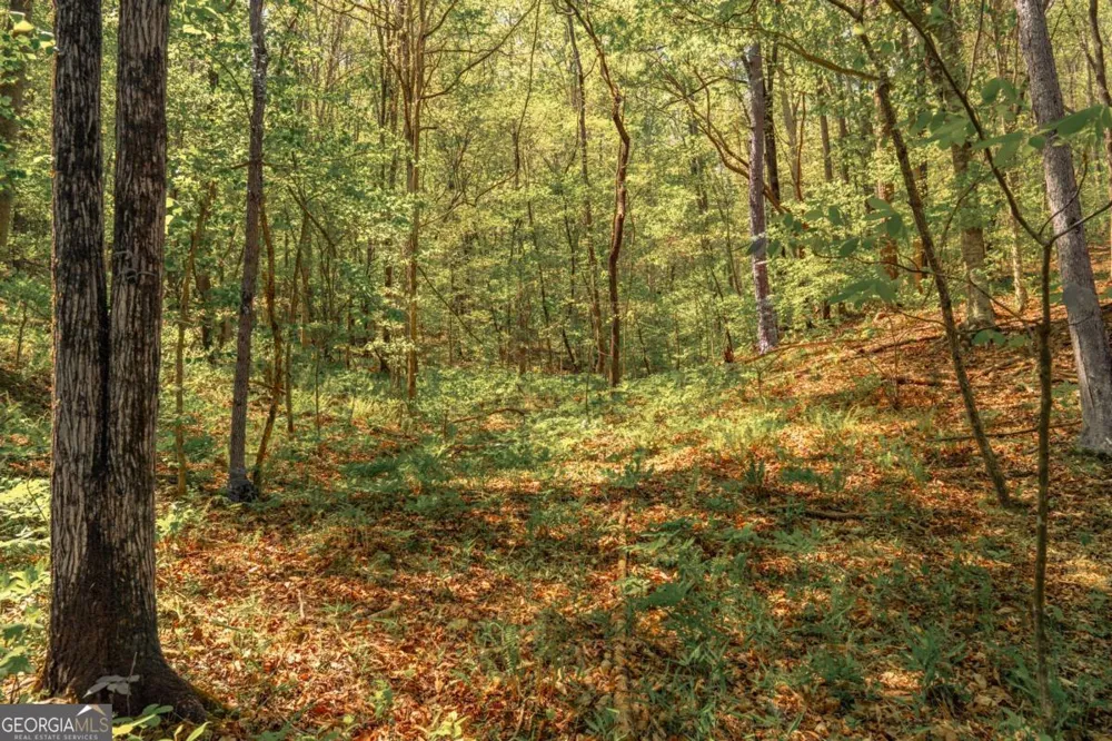 0 Hancock Mountain TRL Waleska, GA 30183