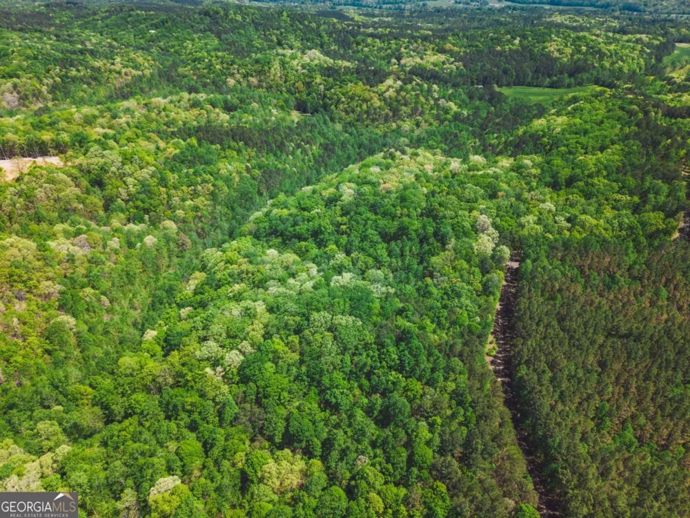 0 Hancock Mountain TRL Waleska, GA 30183