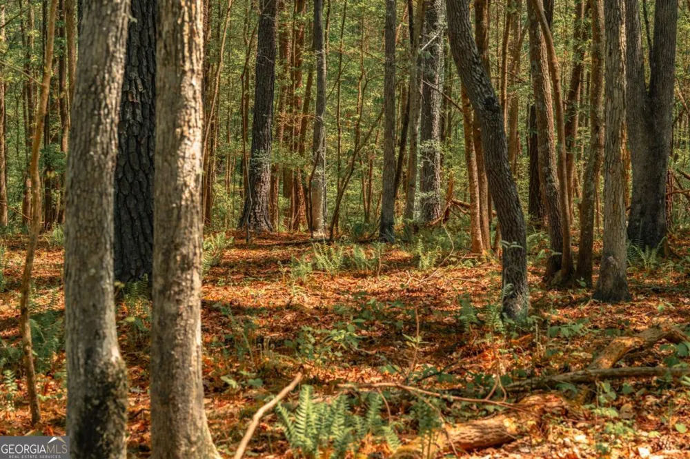 0 Hancock Mountain TRL Waleska, GA 30183