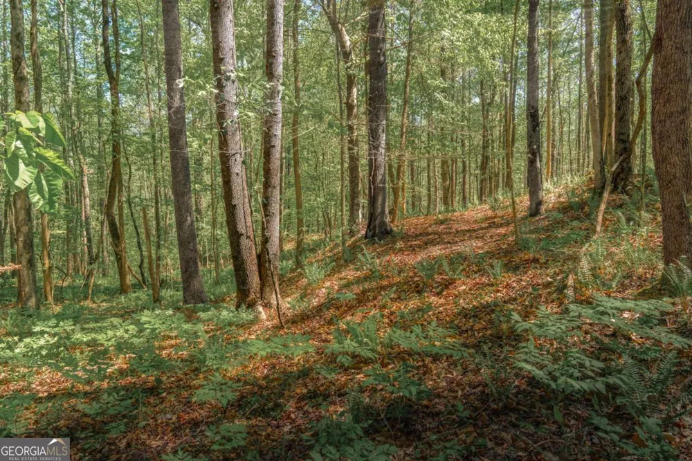 0 Hancock Mountain TRL Waleska, GA 30183