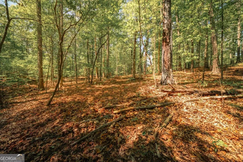 0 Hancock Mountain TRL Waleska, GA 30183