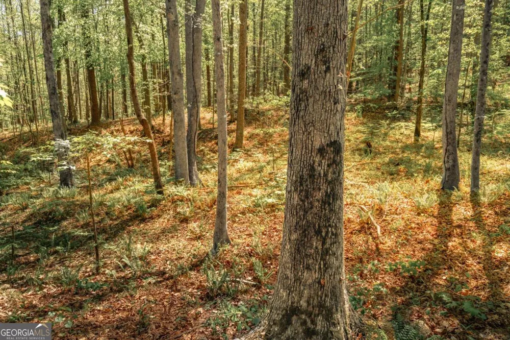 0 Hancock Mountain TRL Waleska, GA 30183