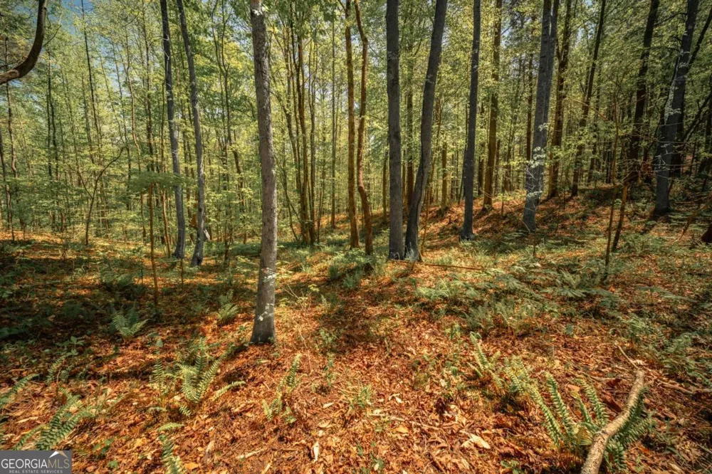 0 Hancock Mountain TRL Waleska, GA 30183