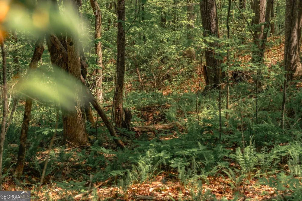 0 Hancock Mountain TRL Waleska, GA 30183