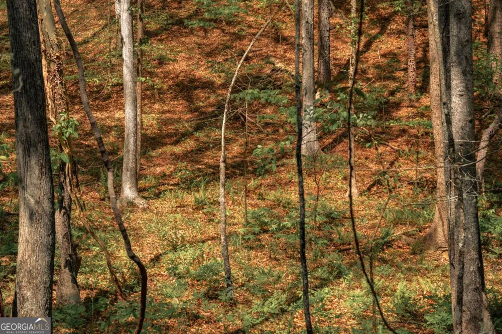 0 Hancock Mountain TRL Waleska, GA 30183