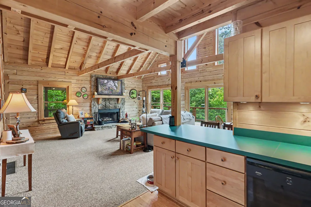 481 Top O Pinnacle DR Clayton, GA 30525