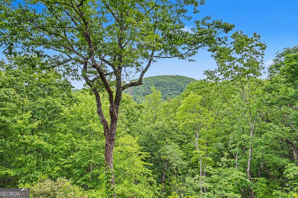 481 Top O Pinnacle DR Clayton, GA 30525