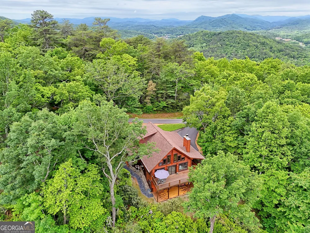481 Top O Pinnacle DR Clayton, GA 30525