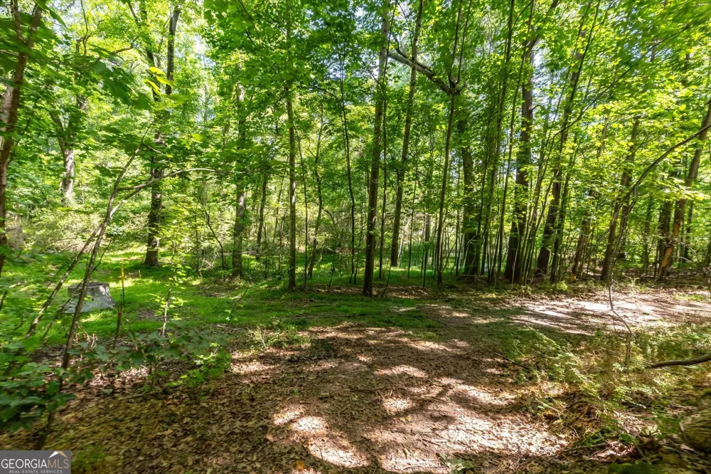 0 Gene Bell RD Monroe, GA 30655