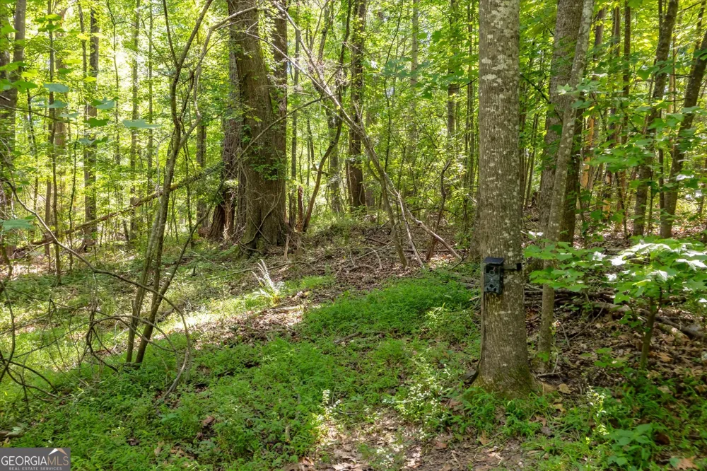 0 Gene Bell RD Monroe, GA 30655