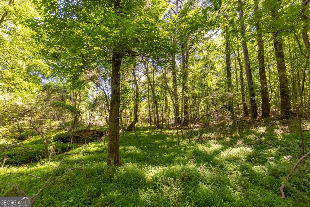 0 Gene Bell RD Monroe, GA 30655