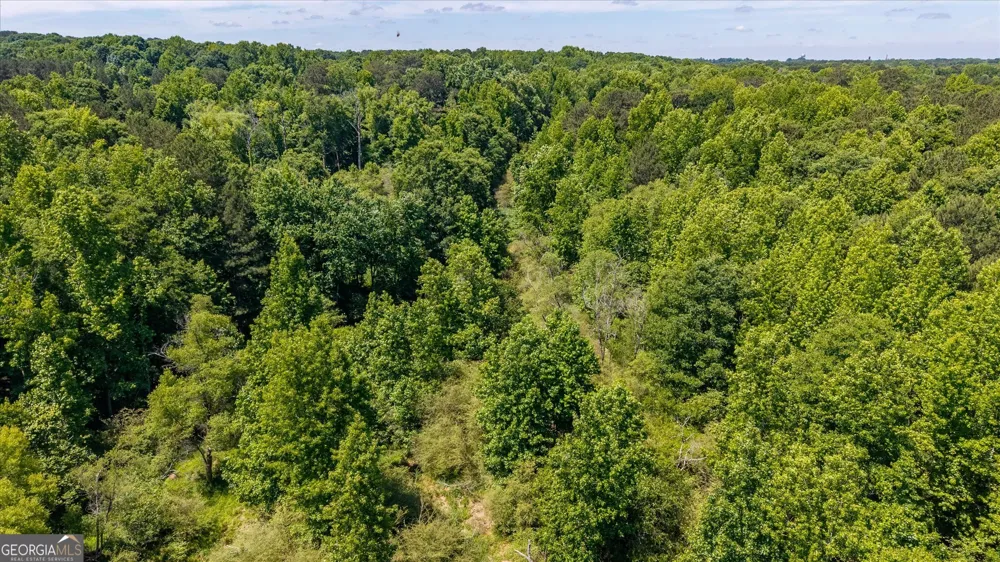 0 Gene Bell RD Monroe, GA 30655