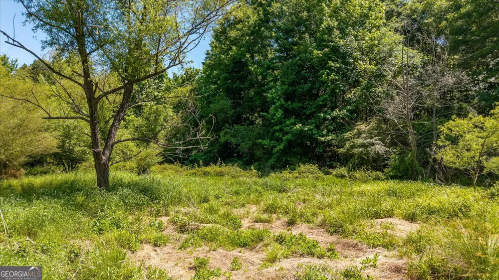 0 Gene Bell RD Monroe, GA 30655