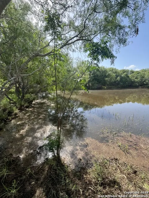 707 deer trail Jourdanton, TX 78026