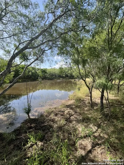 707 deer trail Jourdanton, TX 78026