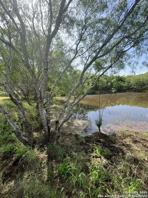 707 deer trail Jourdanton, TX 78026