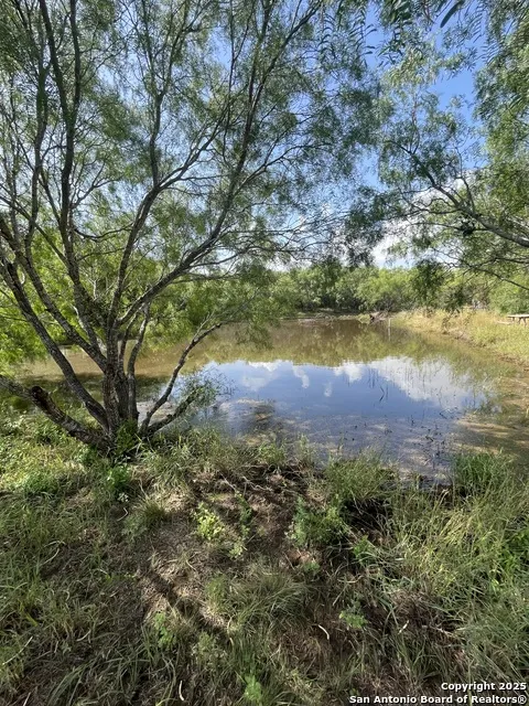 707 deer trail Jourdanton, TX 78026