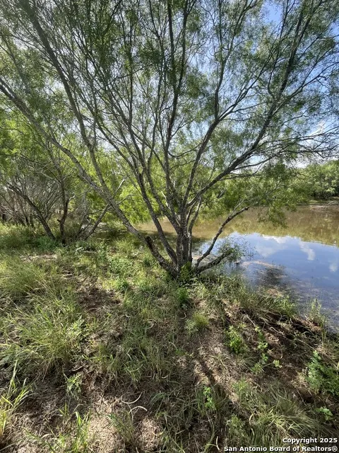 707 deer trail Jourdanton, TX 78026