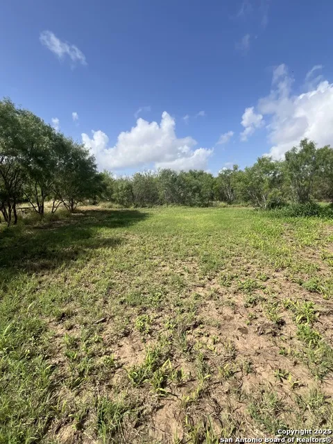 707 deer trail Jourdanton, TX 78026