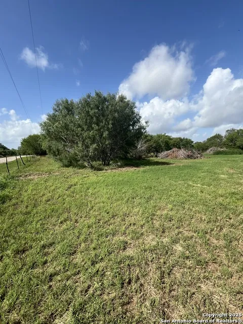 707 deer trail Jourdanton, TX 78026