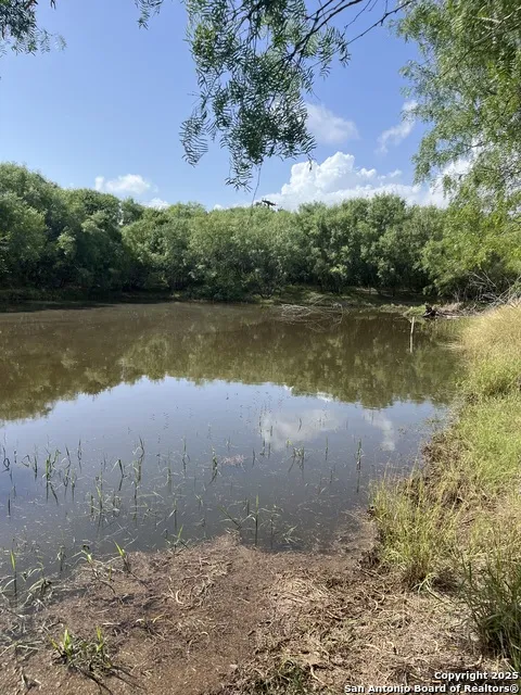707 deer trail Jourdanton, TX 78026