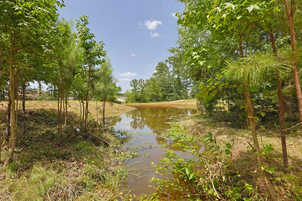 7420 Jackson Road Montgomery, TX 77316