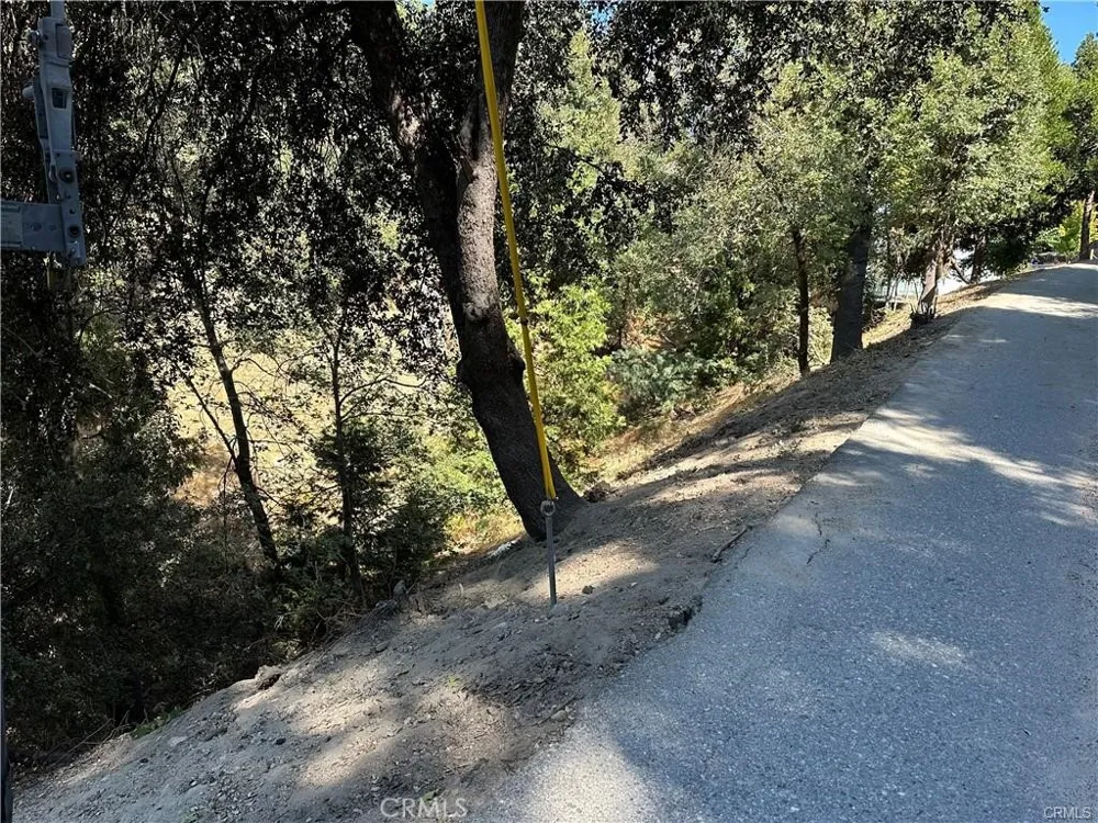 24960 Saxon Drive Crestline, CA 92325